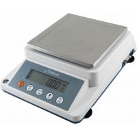 Весы лабораторные DEMCOM DL-3002 (3100 г, 0,01 г, внешняя калибровка)