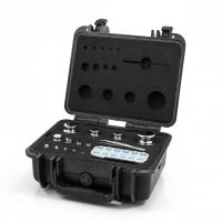 Набор гирь 10 мг — 500 г F1 «Интертех»