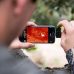 Тепловизор Seek Thermal Compact XR для Android Type-C от производителя Seek - изображение 1