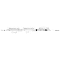 1,1,2-трихлорэтан 10-100 ppm (5 штук)